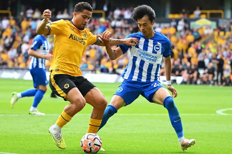 Đội hình dự kiến trước trận Brighton vs Wolves