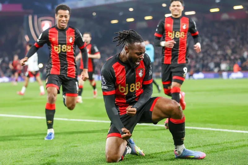 Đội hình dự kiến trước trận Fulham vs Bournemouth Đội hình dự kiến trước trận Fulham vs Bournemouth