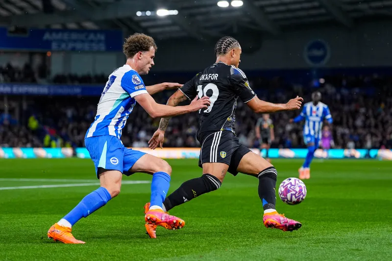 Đội hình dự kiến trước trận Leeds vs Brighton