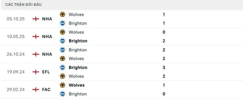 Lịch sử đối đầu Brighton vs Wolves